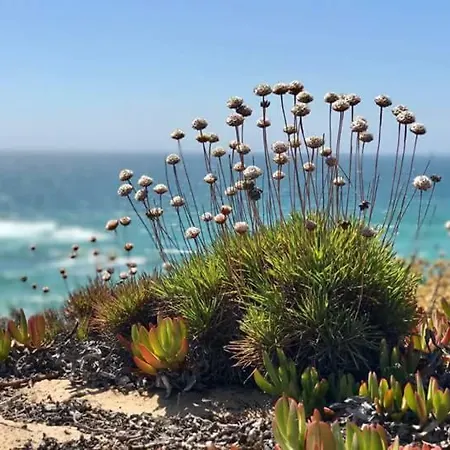 Casa Sol Maison d'hôtes Carrapateira