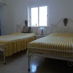 Casa Sol 招待所 *